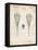 PP199- Vintage Parchment Lacrosse Stick 1948 Patent Poster-Cole Borders-Framed Premier Image Canvas