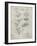 PP40 Antique Grid parchment-Borders Cole-Framed Giclee Print