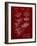 PP40 Burgundy-Borders Cole-Framed Giclee Print