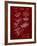 PP40 Burgundy-Borders Cole-Framed Giclee Print