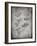 PP40 Faded Grey-Borders Cole-Framed Giclee Print