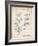 PP40 Vintage Parchment-Borders Cole-Framed Giclee Print