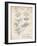 PP40 Vintage Parchment-Borders Cole-Framed Giclee Print