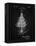 PP766-Vintage Black Christmas Tree Poster-Cole Borders-Framed Premier Image Canvas