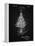 PP766-Vintage Black Christmas Tree Poster-Cole Borders-Framed Premier Image Canvas