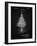 PP766-Vintage Black Christmas Tree Poster-Cole Borders-Framed Giclee Print