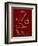 PP9 Burgundy-Borders Cole-Framed Giclee Print