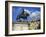 Praca Da Figueira, Lisbon, Portugal, Europe-Jeremy Lightfoot-Framed Photographic Print