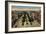 Prado Promenade, Havana, Cuba, 1910-null-Framed Giclee Print