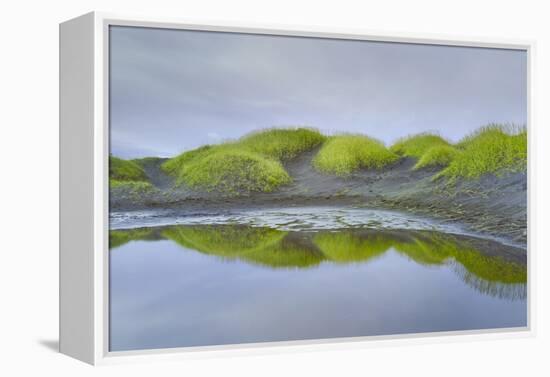 Prados Verdes-Moises Levy-Framed Premier Image Canvas