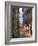 Prague, Czech Republic, Europe-Angelo Cavalli-Framed Photographic Print