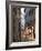 Prague, Czech Republic, Europe-Angelo Cavalli-Framed Photographic Print