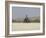 Praia De Santa Monica (Santa Monica Beach), Boa Vista, Cape Verde Islands, Africa-R H Productions-Framed Photographic Print