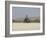 Praia De Santa Monica (Santa Monica Beach), Boa Vista, Cape Verde Islands, Africa-R H Productions-Framed Photographic Print