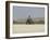 Praia De Santa Monica (Santa Monica Beach), Boa Vista, Cape Verde Islands, Africa-R H Productions-Framed Photographic Print