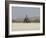 Praia De Santa Monica (Santa Monica Beach), Boa Vista, Cape Verde Islands, Africa-R H Productions-Framed Photographic Print