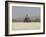 Praia De Santa Monica (Santa Monica Beach), Boa Vista, Cape Verde Islands, Africa-R H Productions-Framed Photographic Print