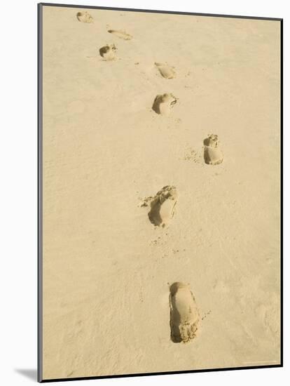 Praia De Santa Monica (Santa Monica Beach), Boa Vista, Cape Verde Islands, Atlantic, Africa-R H Productions-Mounted Photographic Print