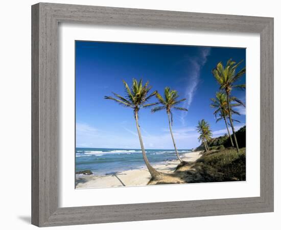 Praia Do Amor, Pipa (Natal), Rio Grande Do Norte State, Brazil, South America-Sergio Pitamitz-Framed Photographic Print