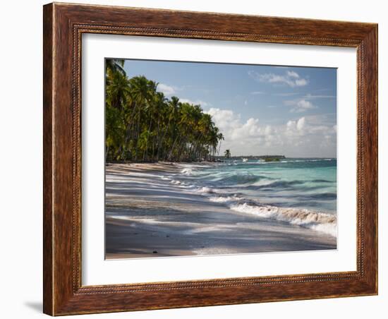 Praia Do Carneiros Near Tamamdere, North-Eastern Brazil-Alex Saberi-Framed Photographic Print