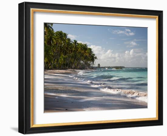 Praia Do Carneiros Near Tamamdere, North-Eastern Brazil-Alex Saberi-Framed Photographic Print