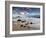 Prainha Do Alto in Ubatuba, Sao Paulo State, Brazil at Sunset-Alex Saberi-Framed Photographic Print