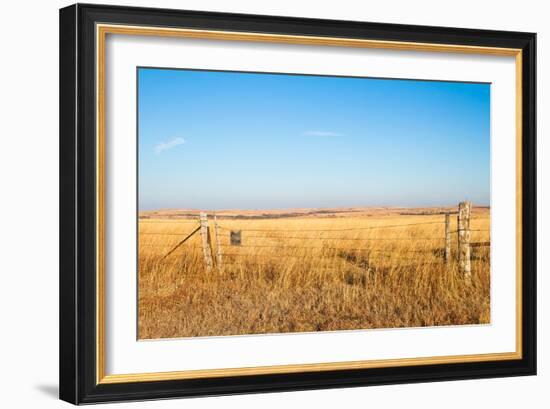 Prairie Blessing-tomofbluesprings-Framed Photographic Print