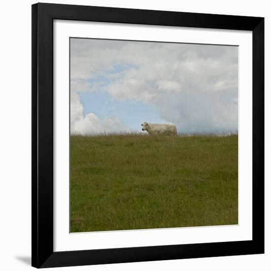 Prairie, c.2007-Jacky Lecouturier-Framed Premium Giclee Print