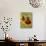 Prairie Coneflowers, Montana, USA-Chuck Haney-Photographic Print displayed on a wall