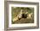 Prairie Dog Family in Theodore Roosevelt National Park, North Dakota, Usa-Chuck Haney-Framed Photographic Print