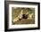 Prairie Dog Family in Theodore Roosevelt National Park, North Dakota, Usa-Chuck Haney-Framed Photographic Print