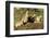 Prairie Dog Family in Theodore Roosevelt National Park, North Dakota, Usa-Chuck Haney-Framed Photographic Print