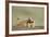 Prairie Dog in Theodore Roosevelt National Park-Paul Souders-Framed Photographic Print