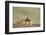 Prairie Dog in Theodore Roosevelt National Park-Paul Souders-Framed Photographic Print