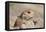 Prairie Dog-Gordon Semmens-Framed Premier Image Canvas
