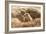 Prairie Dog-India1-Framed Photographic Print