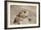 Prairie Dog-Gordon Semmens-Framed Photographic Print