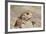 Prairie Dog-Gordon Semmens-Framed Photographic Print