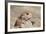 Prairie Dog-Gordon Semmens-Framed Photographic Print