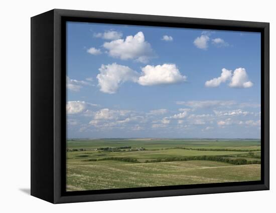 Prairie Farmland, North Dakota, USA-Tony Waltham-Framed Premier Image Canvas