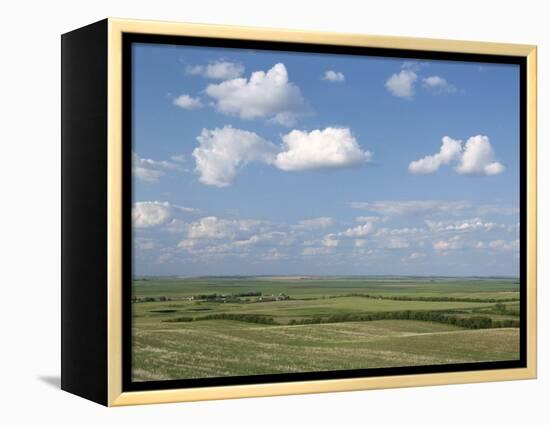 Prairie Farmland, North Dakota, USA-Tony Waltham-Framed Premier Image Canvas