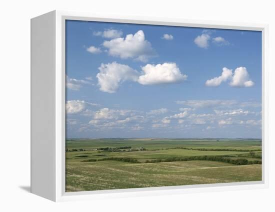 Prairie Farmland, North Dakota, USA-Tony Waltham-Framed Premier Image Canvas