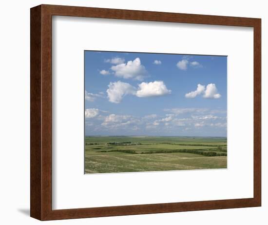 Prairie Farmland, North Dakota, USA-Tony Waltham-Framed Photographic Print