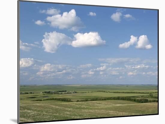 Prairie Farmland, North Dakota, USA-Tony Waltham-Mounted Photographic Print