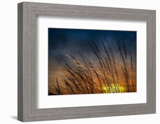 Prairie Grass Sunset Patterns-Steve Gadomski-Framed Photographic Print