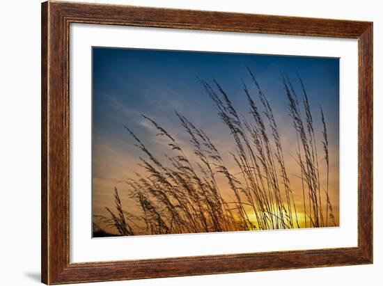 Prairie Grass Sunset-Steve Gadomski-Framed Photographic Print