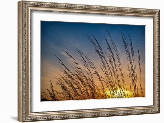 Prairie Grass Sunset-Steve Gadomski-Framed Photographic Print