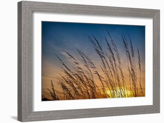 Prairie Grass Sunset-Steve Gadomski-Framed Photographic Print