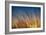 Prairie Grass Sunset-Steve Gadomski-Framed Photographic Print