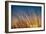 Prairie Grass Sunset-Steve Gadomski-Framed Photographic Print